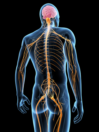 minneapolis acupuncture