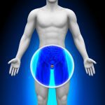 Prostate Treatment with Acupuncture at Minneapolis Clinic