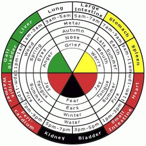 Discover the 24Hour Qi Clock in Chinese Medicine Complete Oriental