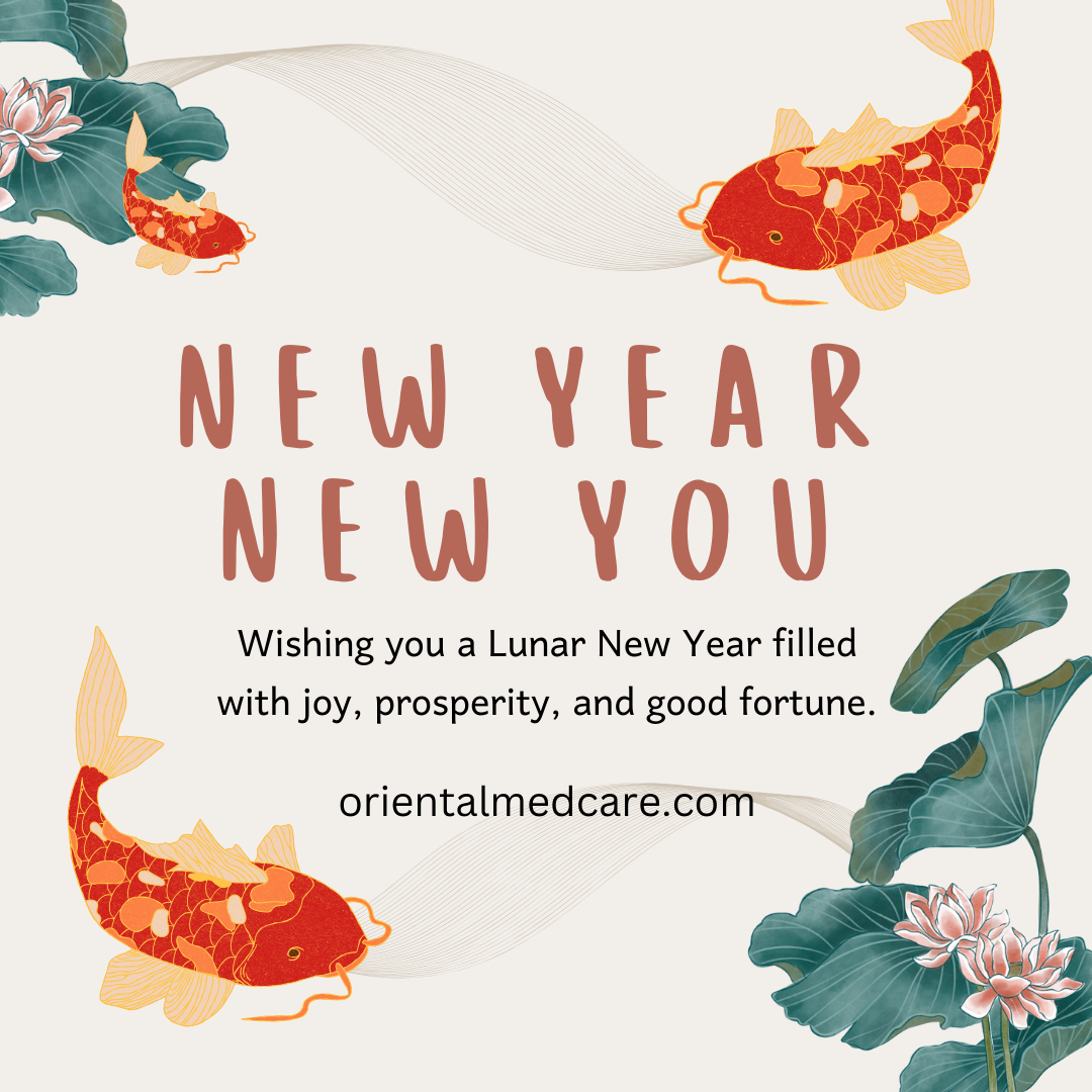 Chinese new year - year of the dragon 2024